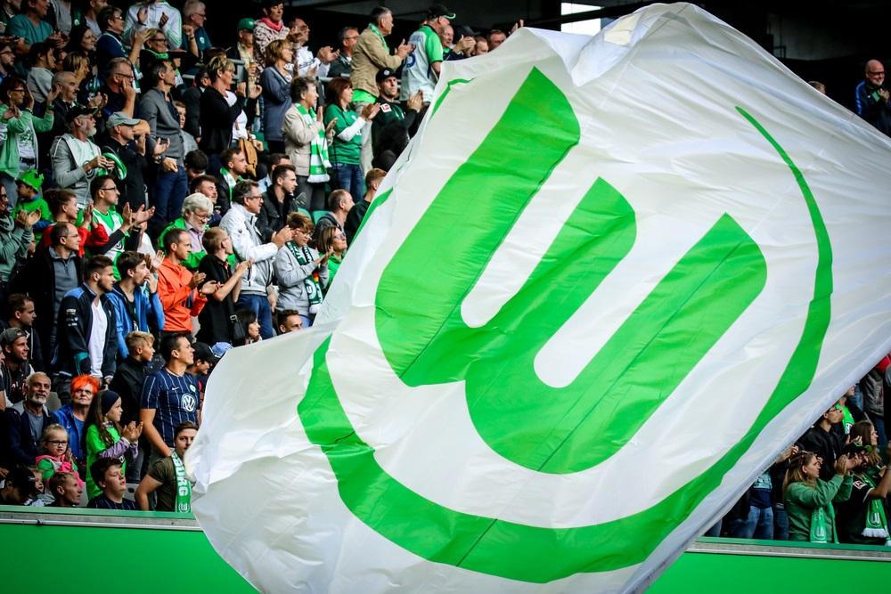 Wolfsburg fans (shutterstock)