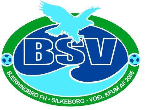 Danske Spil tipper håndbold-guld til BSV