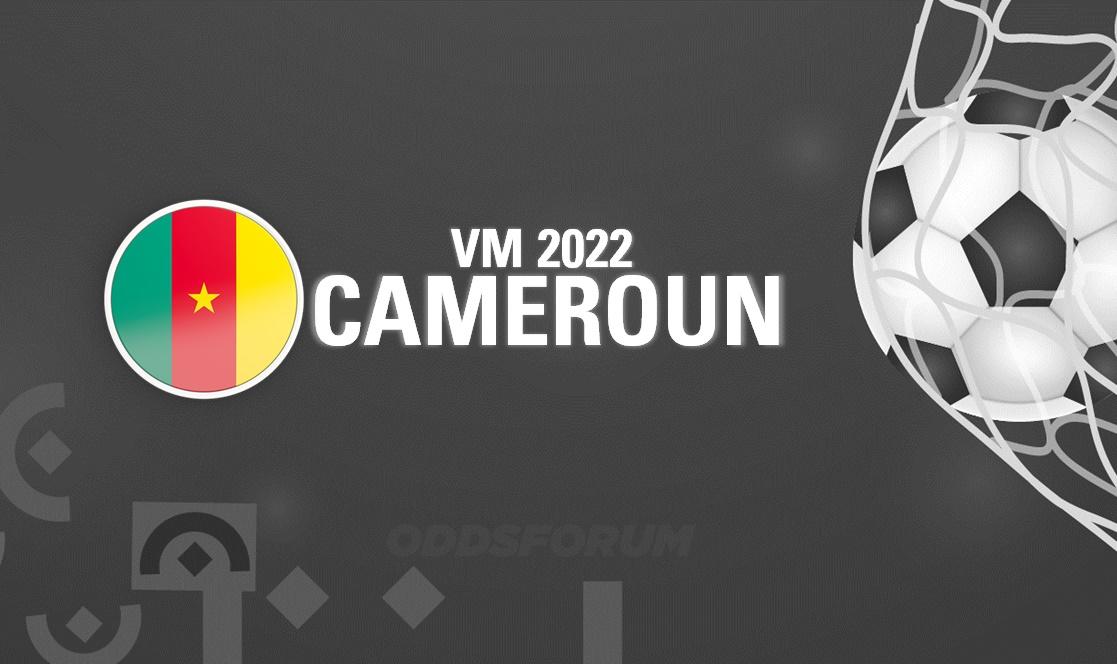 Cameroun ved VM 2022 i fodbold