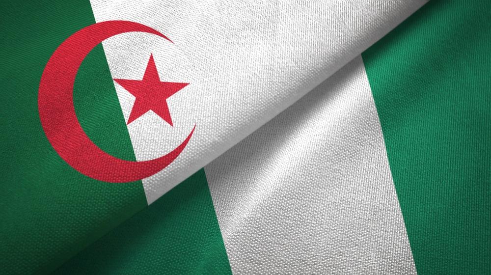 Algeriet - Nigeria odds: Spilforslag til African Nations Cup semifinale