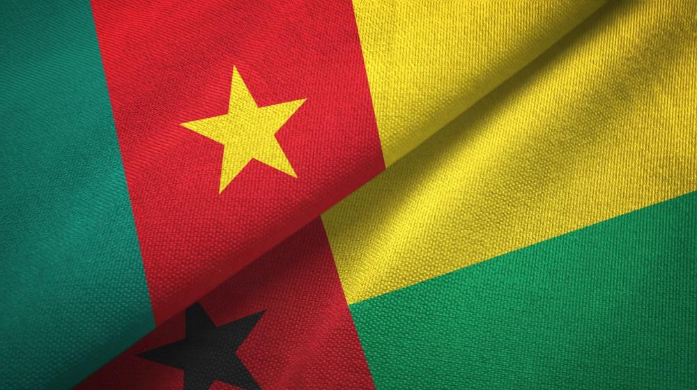 Cameroun - Guinea-Bissau spilforslag: De Ukuelige Løver sejrer sikkert