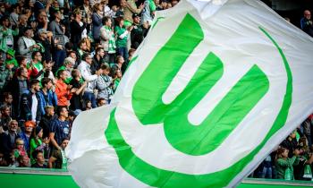 Wolfsburg fans (shutterstock)